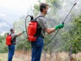 /album/hexaclorobenceno/pesticidas-eternos-articulo-landscape-jpg/
